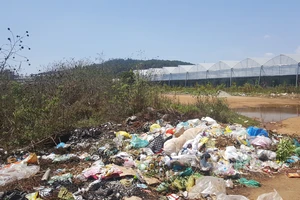 Sân bay Cam Ly (Đà Lạt) tràn ngập rác thải