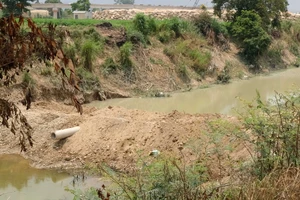 Đình chỉ công ty khai thác cát đắp đập, ngăn sông gây ô nhiễm trên sông Đa Nhim