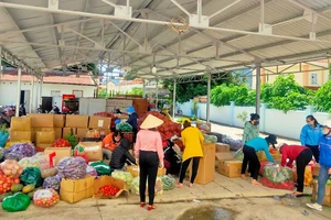 Nông sản do người dân Lâm Đồng đóng góp hỗ trợ TPHCM