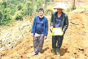 Bắt giam đối tượng chủ mưu phá rừng quy mô lớn tại Lâm Đồng