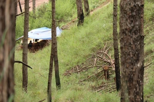 “Thiếc tặc” vô tư khai thác trong rừng phòng hộ tại Lâm Đồng