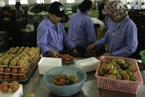 Hơn 800 sản phẩm nông nghiệp Lâm Đồng lên sàn thương mại điện tử