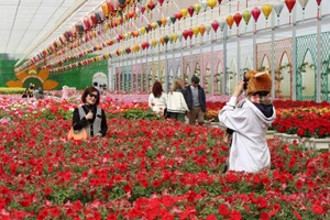 700.000 lượt khách đến Đà Lạt dịp Festival hoa 