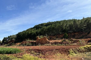 Cận cảnh Khu tái định canh của các hộ dân có đất thu hồi xây dựng hồ Ta Hoét
