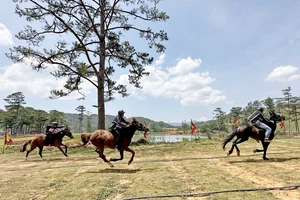 Độc, lạ đua ngựa không yên ở Lạc Dương - Lâm Đồng