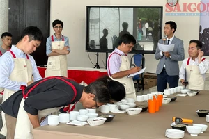 Đà Lạt: Độc đáo cuộc thi tuyển chọn chất lượng cà phê đặc sản Arabica