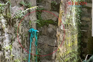 Đà Lạt: Chung cư Đặng Thái Thân xuất hiện nhiều vết nứt dưới taluy 