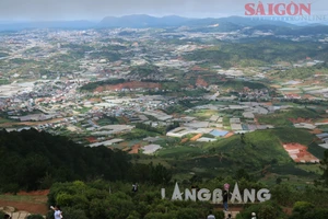 Lâm Đồng sẽ giảm 3 đơn vị cấp huyện sau khi sáp nhập