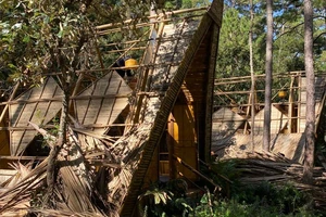 Lâm Đồng: Tháo dỡ các công trình “lụi” tại khu du lịch sinh thái Ankoret