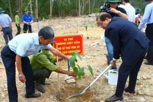 Nông dân Khánh Hòa trồng 40.000 cây xanh trong chương trình “Tết trồng cây đời đời nhớ ơn Bác Hồ”