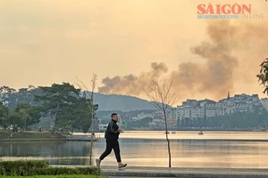Cháy rừng ở TP Đà Lạt