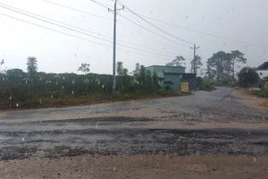Xuất hiện "mưa vàng" giải nhiệt một số khu vực tại Lâm Đồng
