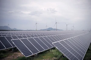 Ninh Thuận cần cơ chế để trở thành Trung tâm năng lượng tái tạo cả nước