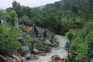 Cha và 2 con nhỏ chết thảm do nước lũ cuốn ở Khánh Hòa