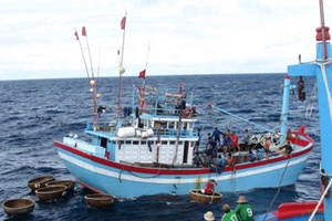 Mất liên lạc với 143 tàu cá ở vùng áp thấp nhiệt đới đổ bộ