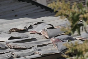 Bộ Công Thương yêu cầu làm rõ thông tin vụ phơi vây cá mập trên mái nhà