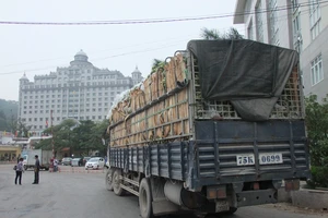 Từ 1-4, rau củ quả Việt Nam xuất sang Trung Quốc phải có nhãn mác xuất xứ