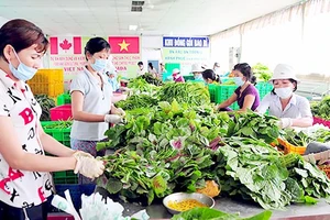 Điểm sơ chế rau của HTX Phước An, huyện Bình Chánh, TPHCM