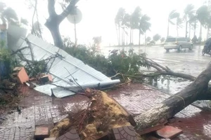 Biển Đông đối mặt với “cơn bão khủng” Mangkhut