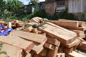 Từ 1-6, “gỗ lậu” Việt Nam hết cửa sang châu Âu