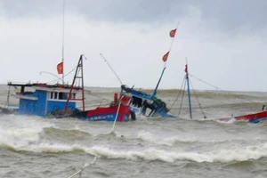 9 tàu bị chìm vì bão Podul, đã cứu được 60 người