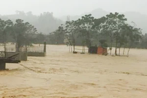 Không khí lạnh đang gây lũ lụt nặng tại các tỉnh Nghệ An, Hà Tĩnh (Trong ảnh là cảnh ngập lụt tại Hương Sơn - Hà Tĩnh). Ảnh: Ban chỉ đạo Trung ương về phòng chống thiên tai