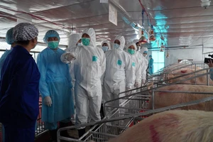 Bộ trưởng Nguyễn Xuân Cường yêu cầu 17 tập đoàn giảm giá thịt heo