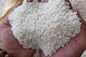 Bộ Công thương hỏi, Bộ NN-PTNT trả lời về gạo nếp