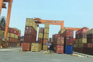 Kêu cứu vì 58 container hồ tiêu xuất khẩu đang mắc kẹt