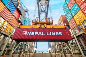“Cứu” thành công 58 container hồ tiêu mắc kẹt ở Nepal