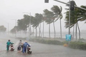 Trong sáng đến trưa nay, bão số 5 với cường độ cấp 7-8 sẽ đi vào các tỉnh từ Quảng Bình đến Quảng Nam 