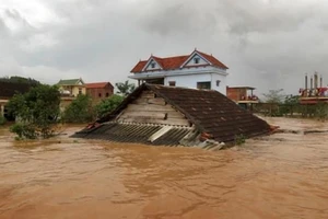 Phó Thủ tướng Trịnh Đình Dũng yêu cầu các bộ, ngành, địa phương phối hợp hạn chế ngập lụt