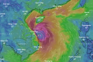 Dự báo bão số 9 cập bờ vào khoảng 10 giờ sáng nay 28-10-2020.Ảnh: Windy