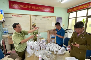 Phát hiện gần 300.000 sản phẩm thuốc nghi nhập lậu qua cảng hàng không Nội Bài