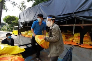 Bộ NN-PTNT chuẩn bị hỗ trợ lương thực cho công nhân ở TPHCM