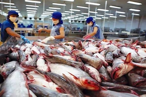 Thế giới đang cần nhập thủy sản Việt Nam, nhưng nhiều nhà máy lại đóng cửa