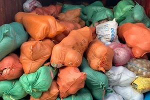  105 tấn rau củ trên chuyến tàu chạy xuyên đêm từ Hà Nội vào TPHCM tặng người dân
