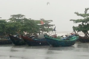 Dự báo mưa lũ lớn từ Nghệ An tới Quảng Nam