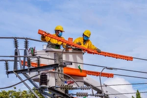 Tập đoàn Điện lực Việt Nam giữ vai trò chủ đạo, chịu trách nhiệm chính trong đảm bảo cung ứng đủ điện