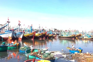 Việt Nam sẽ giảm lượng tàu đánh cá ven bờ