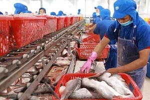 Tiếp tục gia tăng xuất khẩu thủy sản Việt Nam sang EU