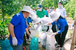 Nông dân tham gia tập huấn sử dụng thuốc bảo vệ thực vật an toàn