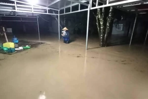 Tập đoàn CEO chặn đường thoát nước, người dân mất ngủ cả đêm vì lụt