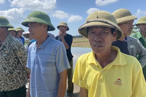 Hàng trăm nông dân ở xã An Tân (Thái Thuỵ - Thái Bình) xót xa nhìn cánh đồng lúa chết. Ảnh: VĂN PHÚC