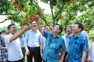 Bộ trưởng Bộ NN-PTNT Lê Minh Hoan: Kéo chợ về vườn