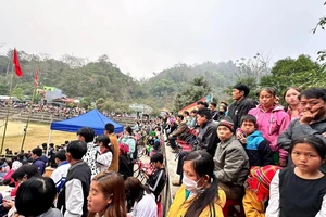 Hàng ngàn người xem chọi bò ở Bảo Lâm