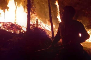 Huy động gần 750 người dập đám cháy rừng ở Yên Bái và Sơn La