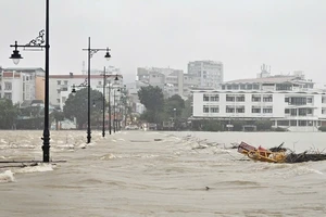 Bộ NN-PTNT đề nghị ứng phó giá rét và mưa lũ