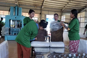 Công ty CP Cao su Chư Sê Kampong Thom