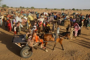 Người Sudan di tản do xung đột. Ảnh: REUTERS
